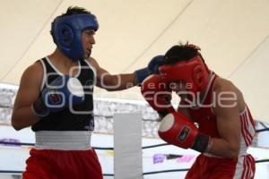 TORNEO DE BOX