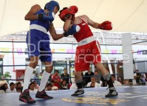 TORNEO DE BOX