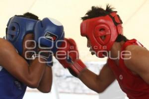 TORNEO DE BOX