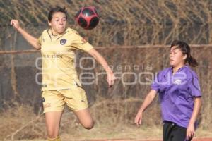 ANGELES SOCCER VS PUMAS