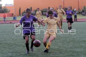 ANGELES SOCCER VS PUMAS