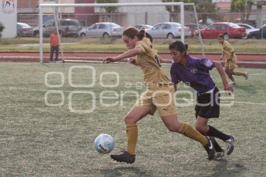 ANGELES SOCCER VS PUMAS