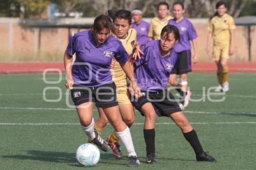 ANGELES SOCCER VS PUMAS