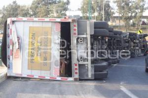 VOLCADURA TRAILER BIMBO