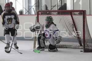 CAMPEONATO NACIONAL . HOCKEY SOBRE HIELO