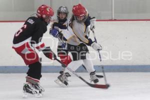 CAMPEONATO NACIONAL . HOCKEY SOBRE HIELO