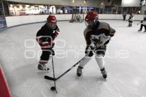 CAMPEONATO NACIONAL . HOCKEY SOBRE HIELO