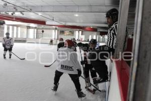 CAMPEONATO NACIONAL . HOCKEY SOBRE HIELO