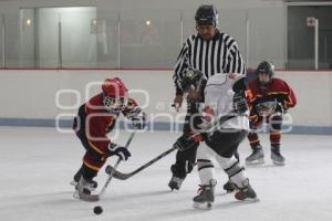 CAMPEONATO NACIONAL . HOCKEY SOBRE HIELO