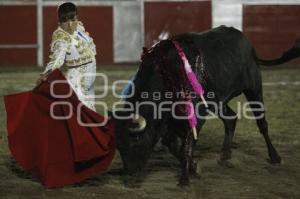 TOROS . HILDA TENORIO