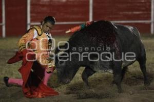 TOROS . ALFONSO MATEOS