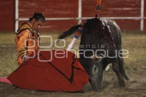 TOROS . ALFONSO MATEOS