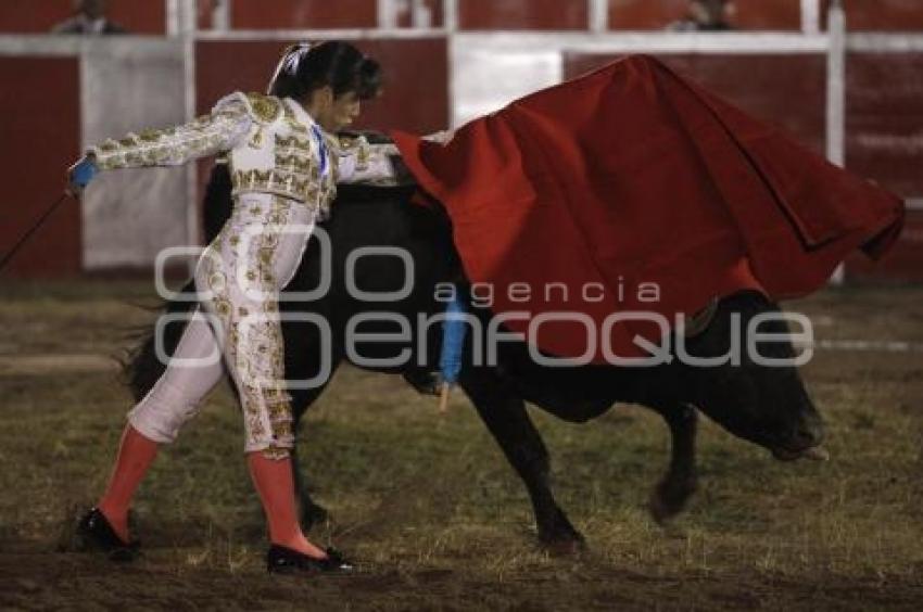 TOROS . HILDA TENORIO