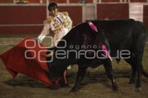 TOROS . HILDA TENORIO