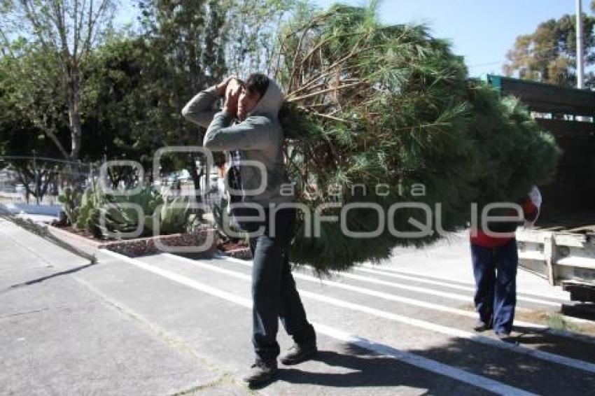 EXPO NAVIDAD SUSTENTABLE