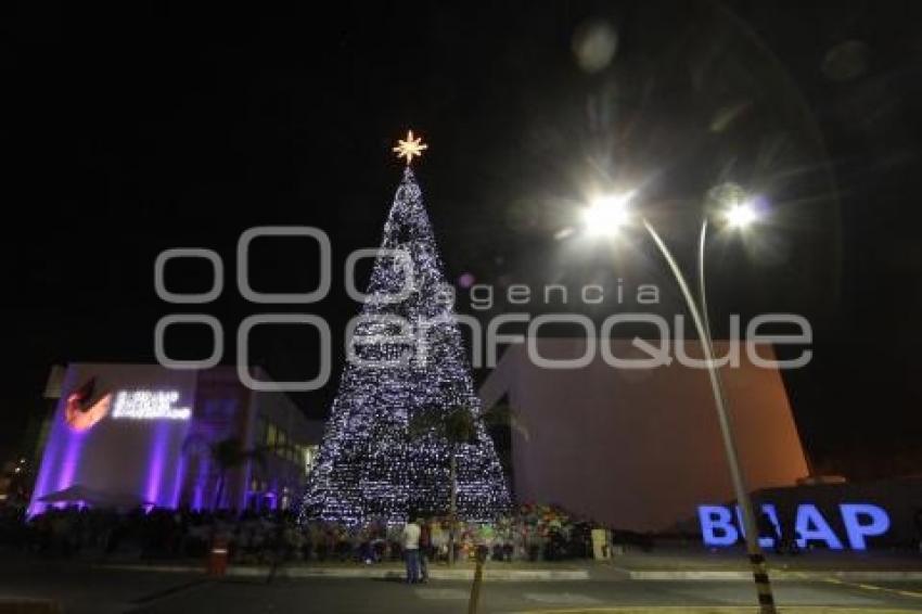 ARBOL DE NAVIDAD - CCU