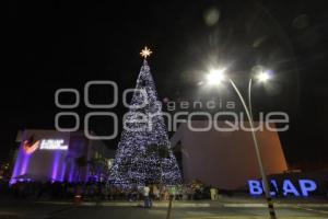 ARBOL DE NAVIDAD - CCU