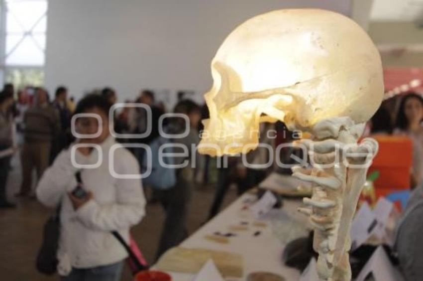 EXPO IBERO