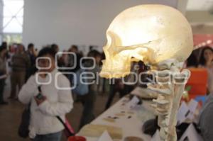 EXPO IBERO