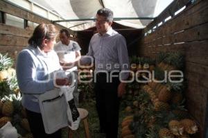 INICIA REORDENAMIENTO DE LA CENTRAL DE ABASTO