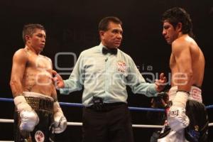 CAMPEONATO MUNDIAL PLATA WBC