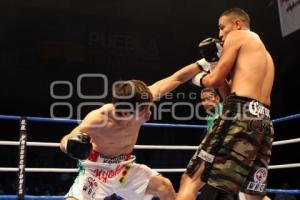 CAMPEONATO INTERNACIONAL WBC