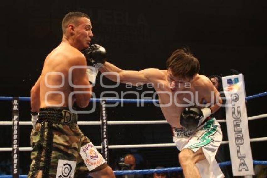 CAMPEONATO INTERNACIONAL WBC