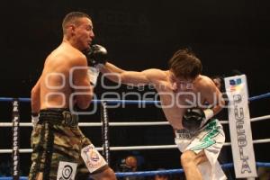 CAMPEONATO INTERNACIONAL WBC
