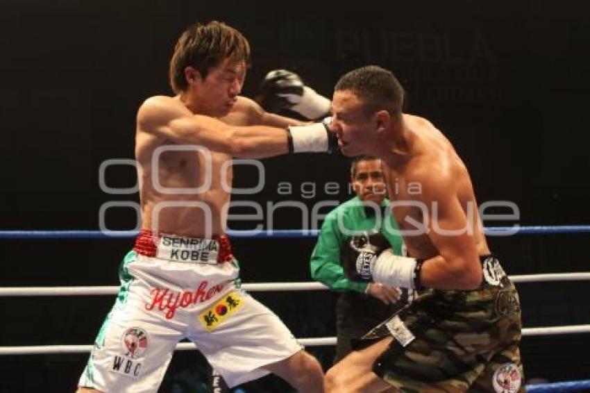CAMPEONATO INTERNACIONAL WBC