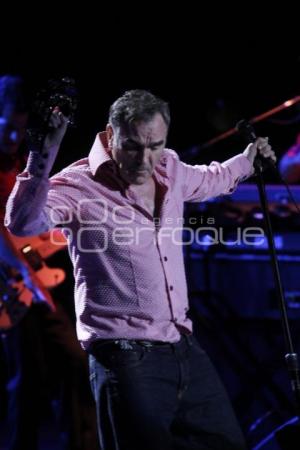 MORRISEY