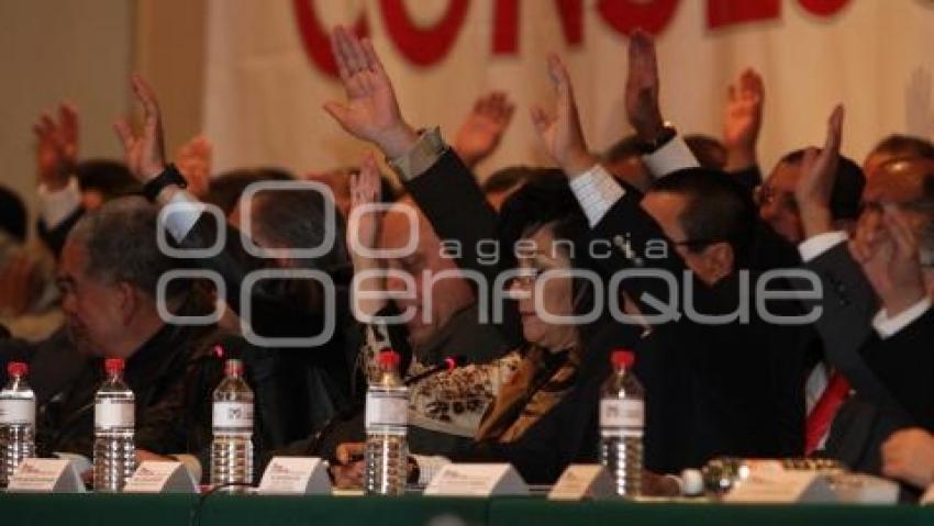 PRI - CONSEJO POLITICO
