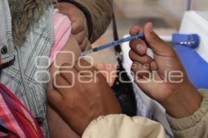 CAMPAÑA VACUNACIÓN CONTRA INFLUENZA