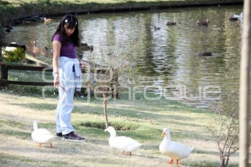 PARQUE ECOLÓGICO. FAMILIAS