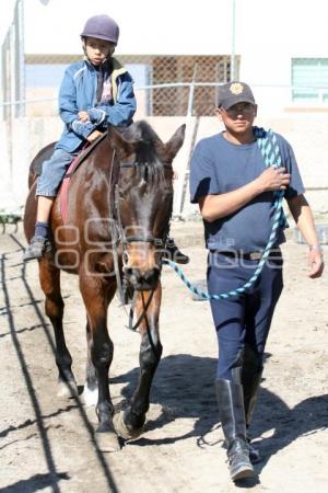 CLASES EQUINOTERAPIA SSP