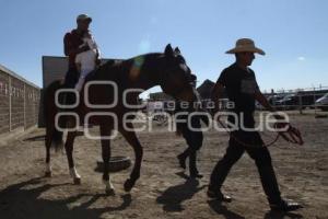 CLASES EQUINOTERAPIA SSP