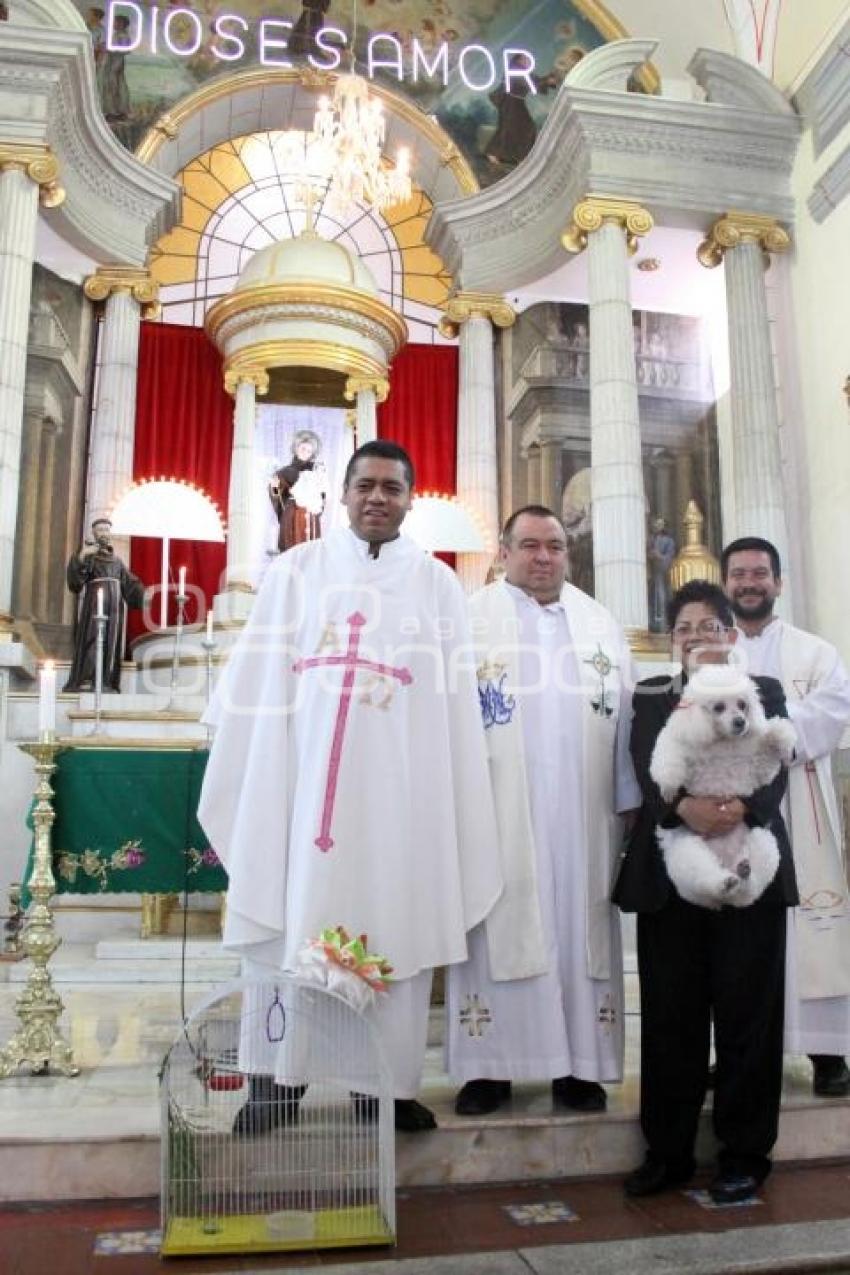 BENDICIÓN DE ANIMALES