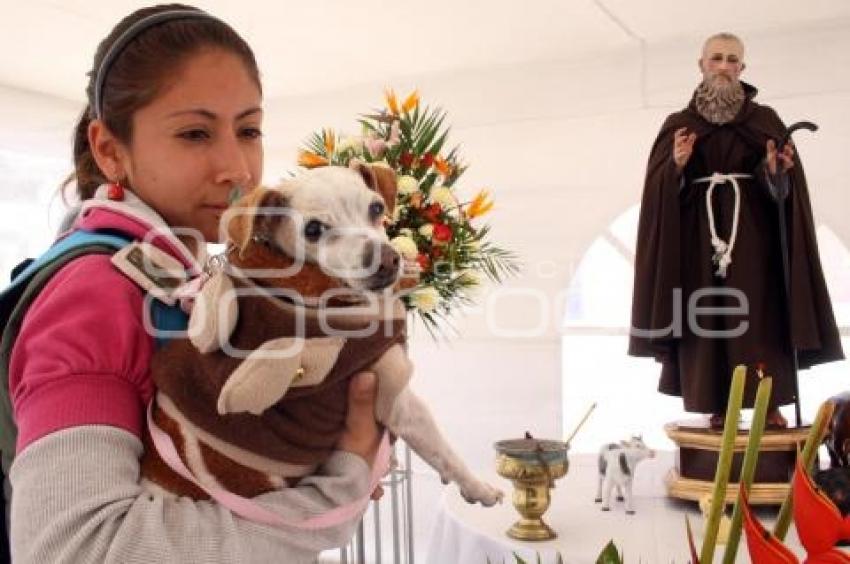 BENDICIÓN DE ANIMALES