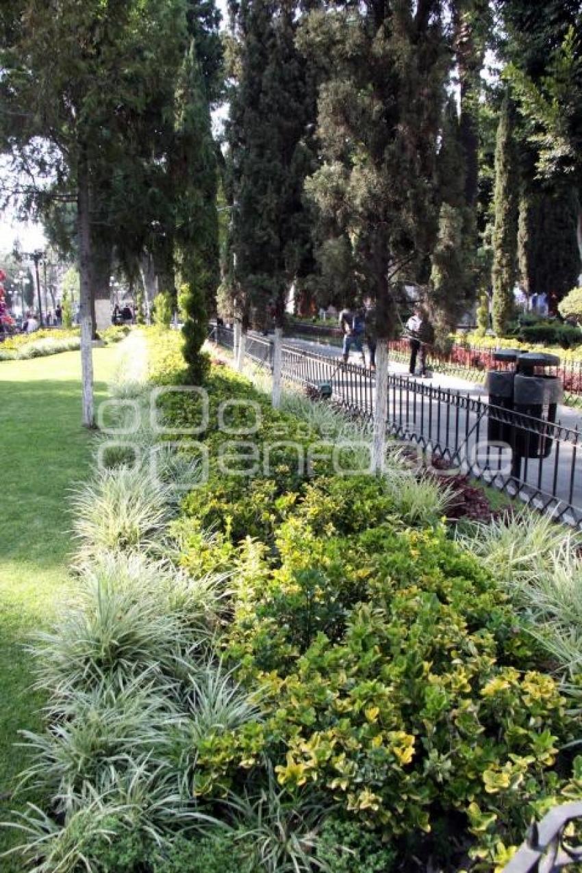 JARDÍN ZÓCALO