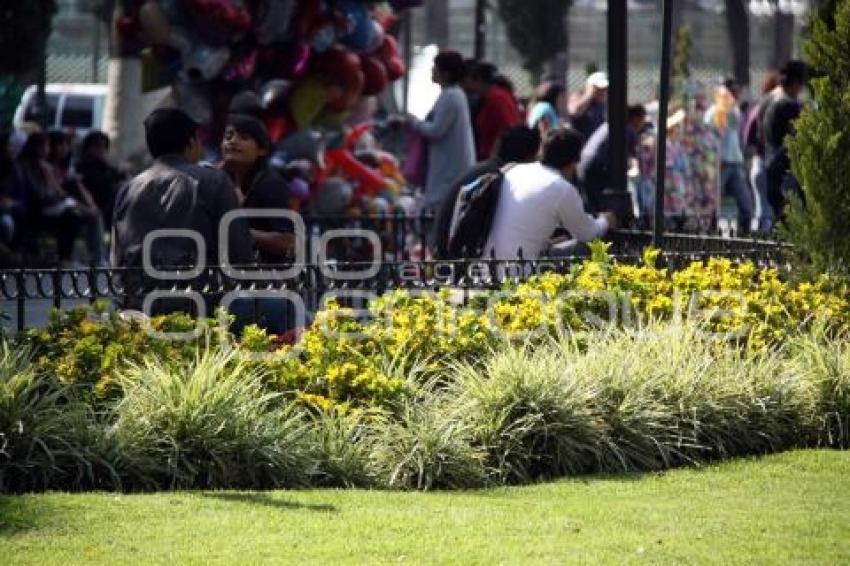 JARDÍN ZÓCALO