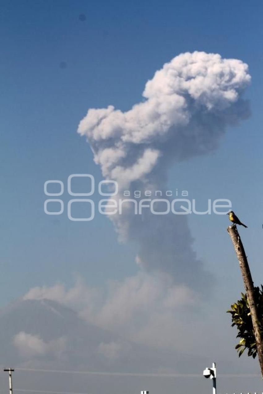 FUMAROLA VOLCÁN POPOCATÉPETL