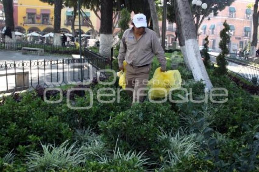 FUMIGACIÓN DE RATAS EN EL ZÓCALO