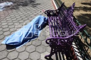 MUERE INDIGENTE EN SANTIAGO