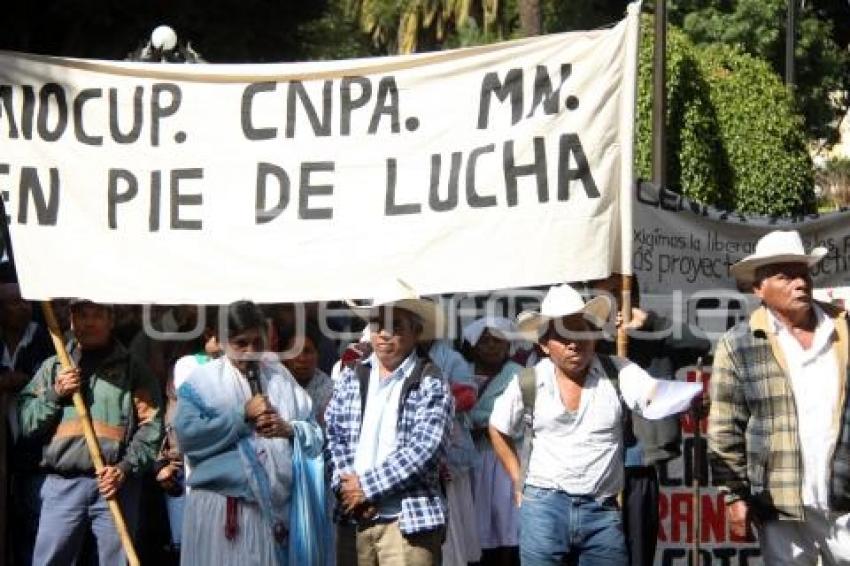 MANIFESTACIÓN CNPA