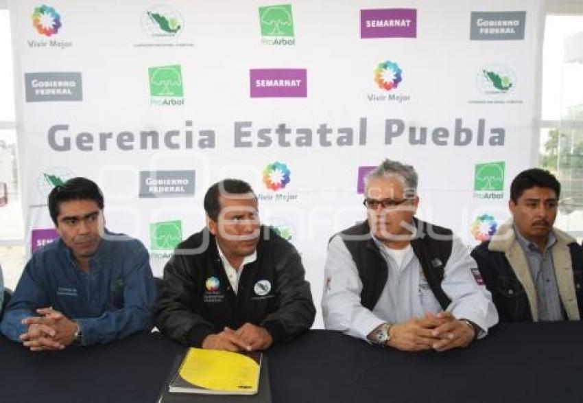 REUNIÓN REGIONAL DE REFORESTACIÓN