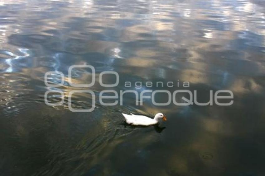 LAGUNA DE CHAPULCO