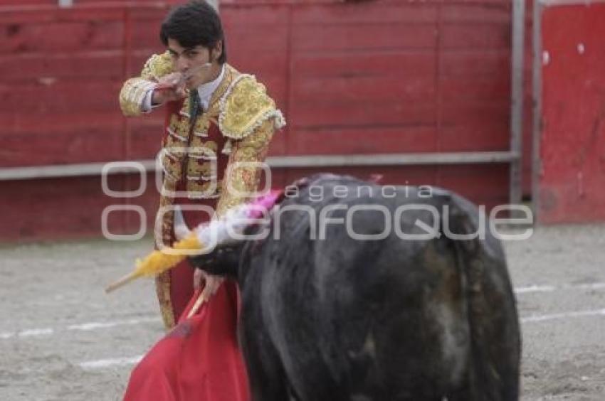 TOROS . ANTONIO LOMELIN