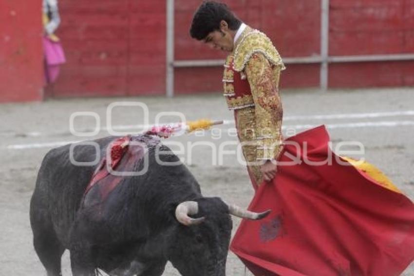 TOROS . ANTONIO LOMELIN