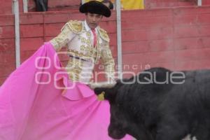 TOROS . RAFAEL ORTEGA