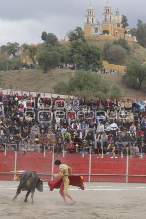 TOROS . ANTONIO LOMELIN