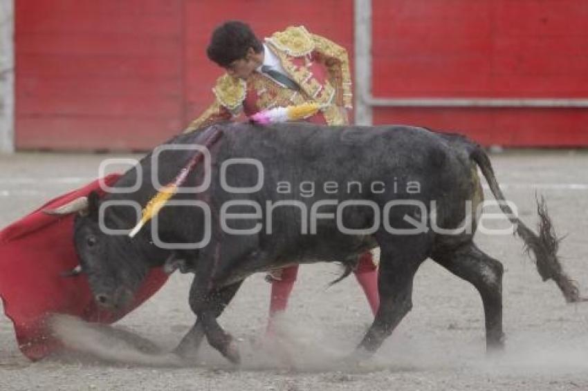 TOROS . ANTONIO LOMELIN